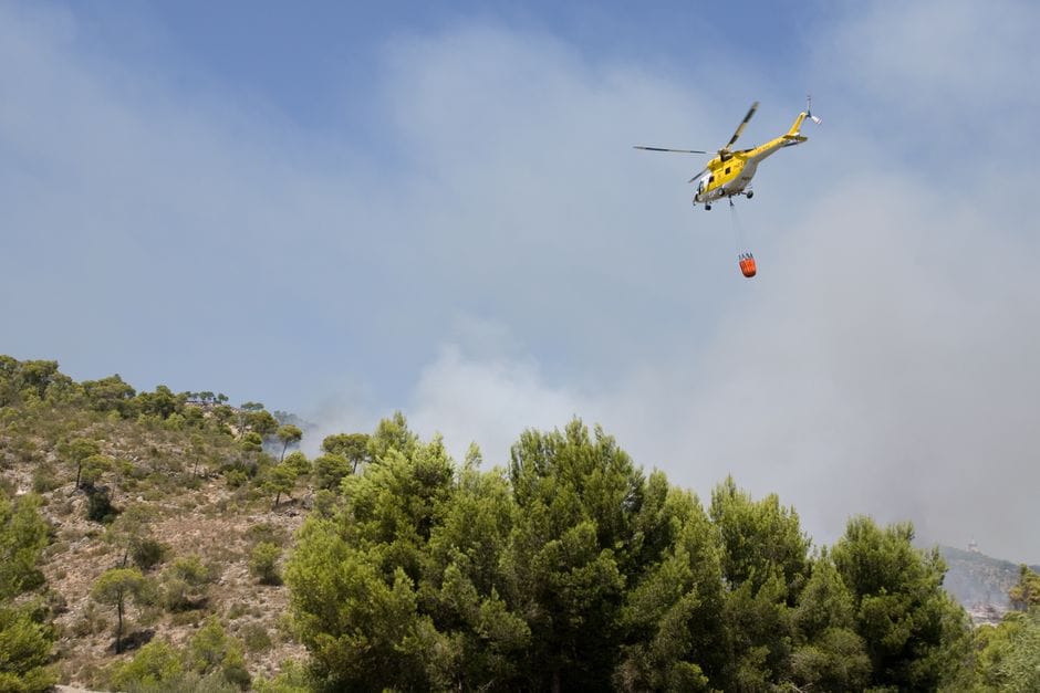 Tormenta: 192 avisos a bomberos y un pino partido en Torrent