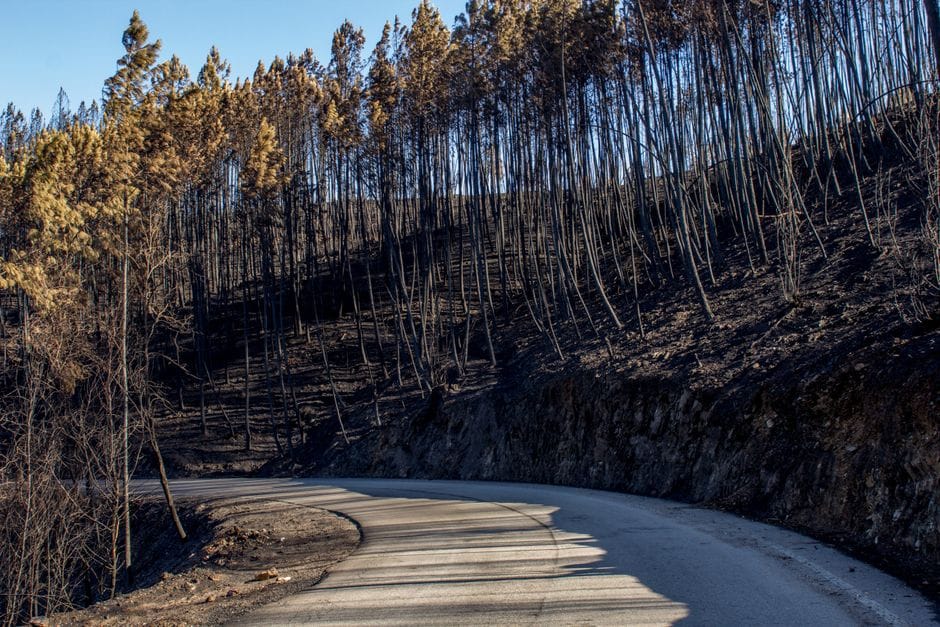 El Saler reopens roads and beaches after 37-hectare fire