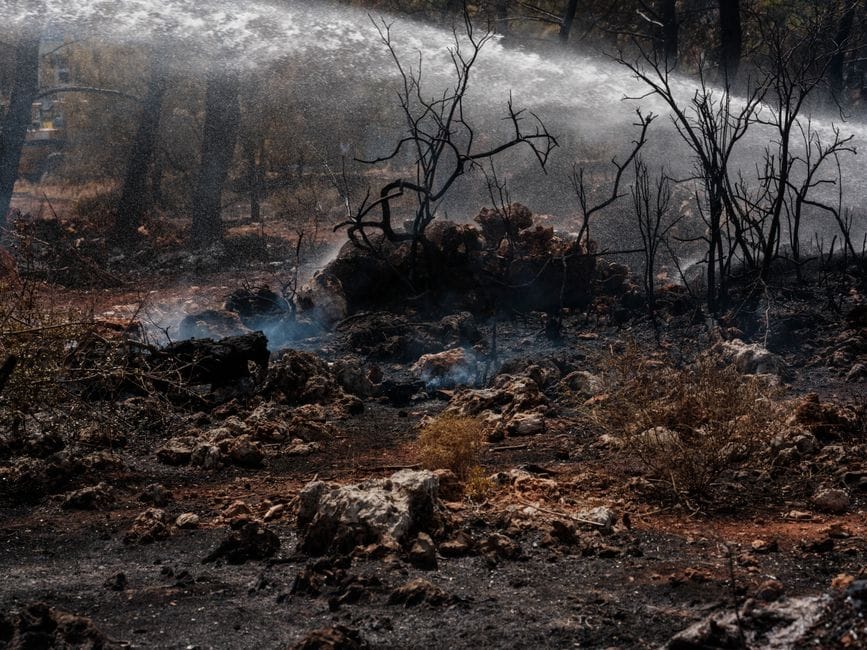 Incendie d'El Saler éteint : 37 hectares brûlés en 13 jours