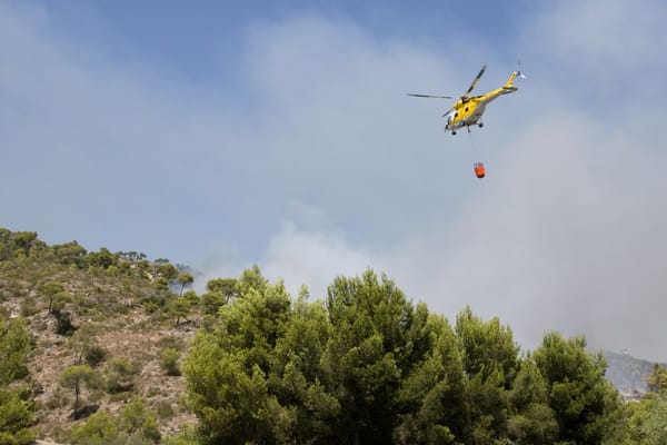 Tormenta: 192 avisos a bomberos y un pino partido en Torrent