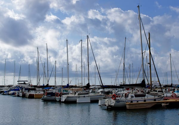 Que faire à la Marina de Valencia et au port ?